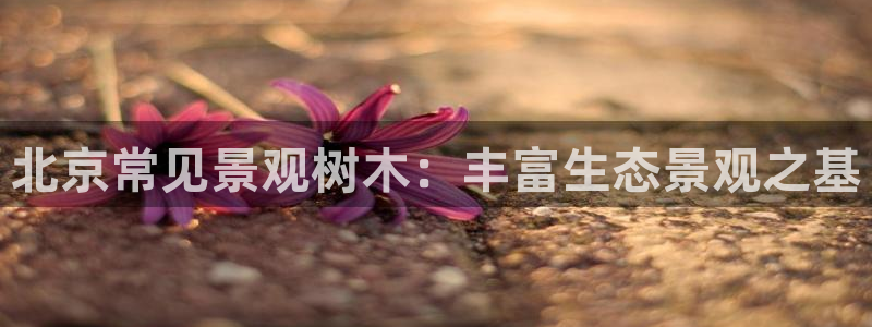新宝gg主管111