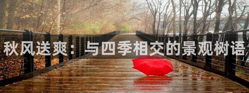 新宝GG都有哪些计划