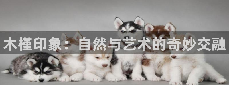 新宝gg测试