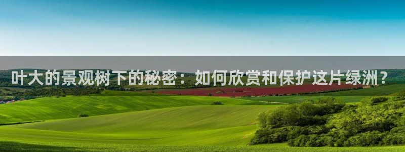新宝gg会员登录