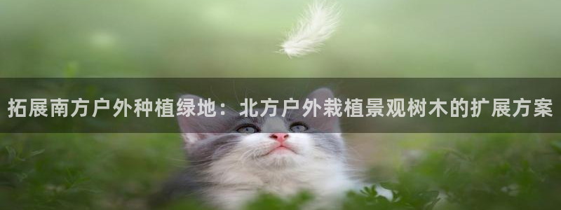 新宝gg分红