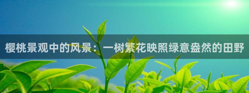 新宝gg挂机软件下载