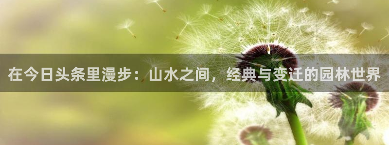 新宝gg娱乐-上鼎狐网