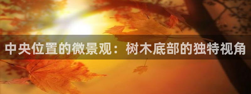 新浪新闻新宝gg