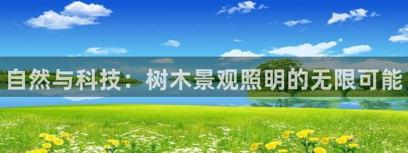 新宝gg网娱乐