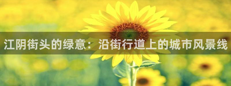 新宝gg手机