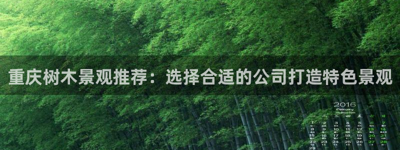 新宝gg怎样代理