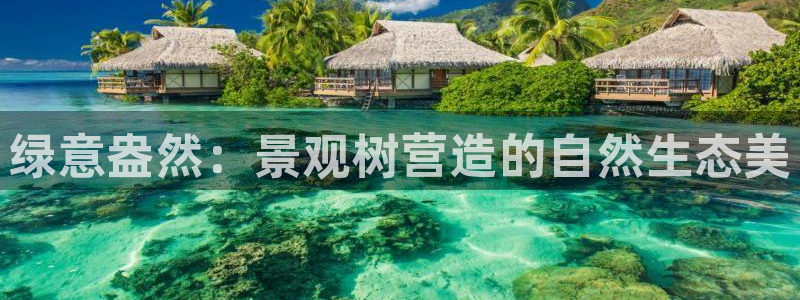 新宝gg 首页
