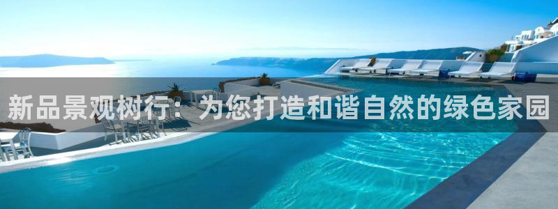 新宝gg--创