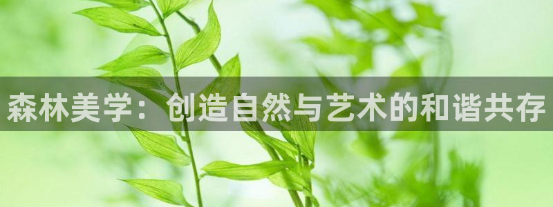 新宝gg平台下载安装：森林美学：创造自然与艺术的和谐共存