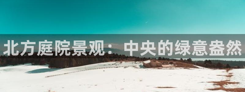 新宝gg试玩