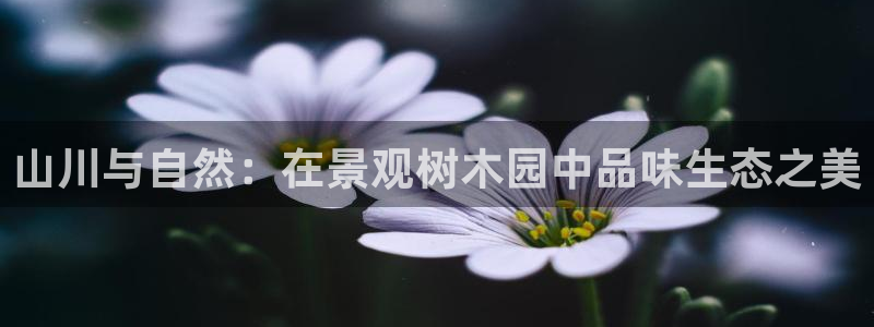 新宝gg登录注册：山川与自然：在景观树木园中品味生态之美