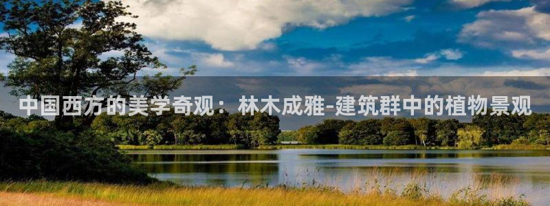 新宝gg招商致胜团队