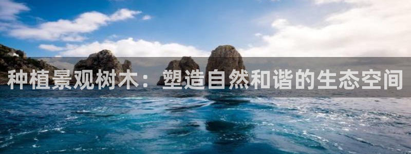 新宝gg时时彩：种植景观树木：塑造自然和谐的生态空间
