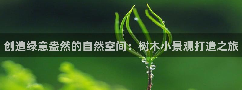 新宝GG玩家