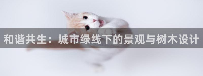 109新宝gg