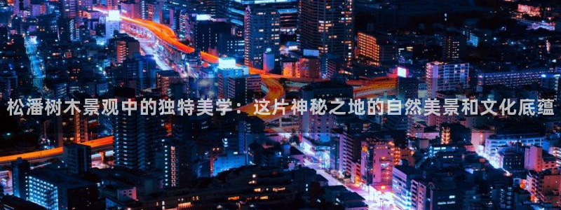 新宝gg.