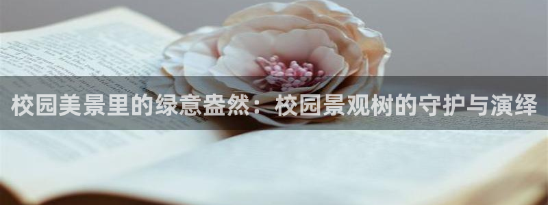 新宝gg主管花木兰