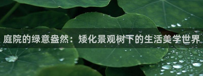 菲律宾新宝gg娱乐