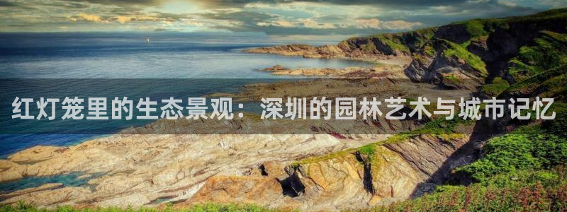 新宝gg龙虎