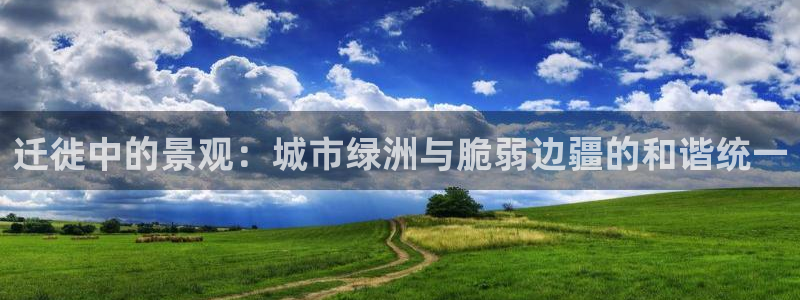 新宝gg指定平台