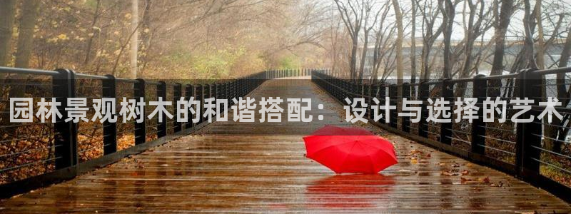 新宝gg辅助