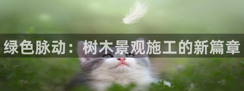 96新宝gg：绿色脉动：树木景观施工的新篇章