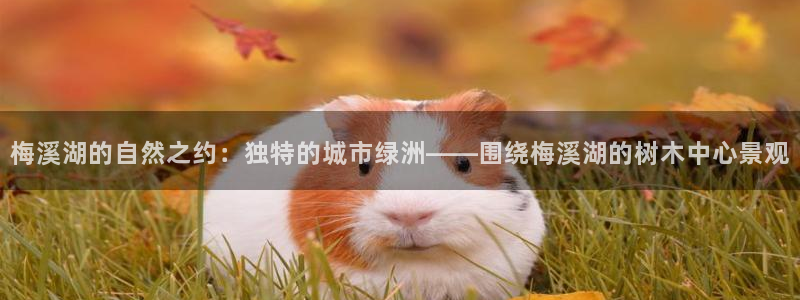 新宝gg咨询55312：梅溪湖的自然之约：独特的城市绿洲——围绕梅溪湖的树木中心景观
