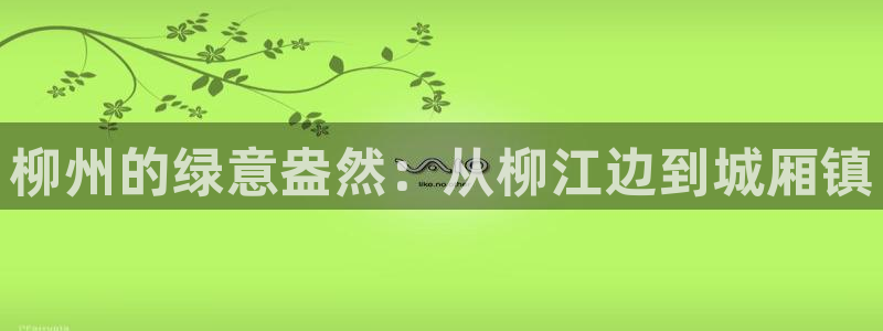 新宝gg 网址：柳州的绿意盎然：从柳江边到城厢镇