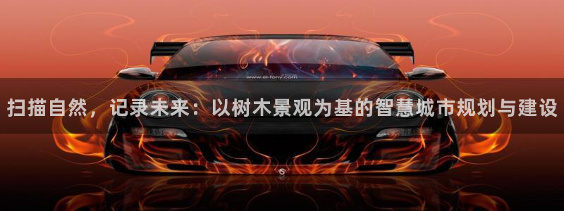 新宝gg 502