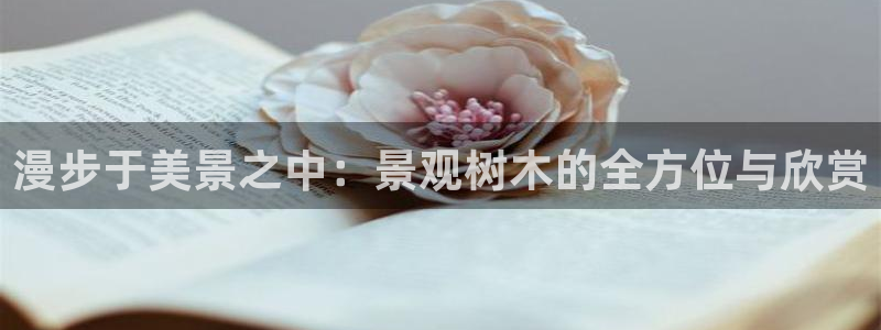 新宝gg代理登录：漫步于美景之中：景观树木的全方位与欣赏