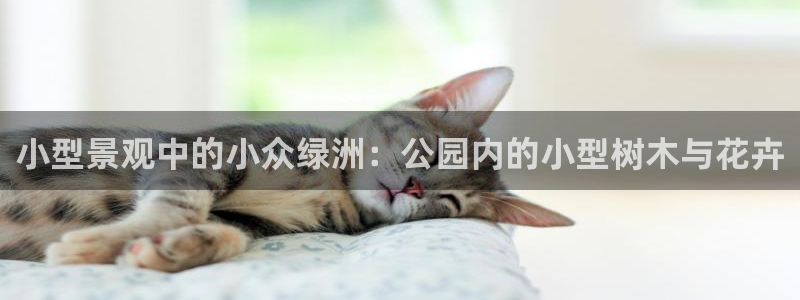 新宝 gg 下载：小型景观中的小众绿洲：公园内的小型树木与花卉