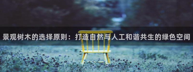 j新宝GG