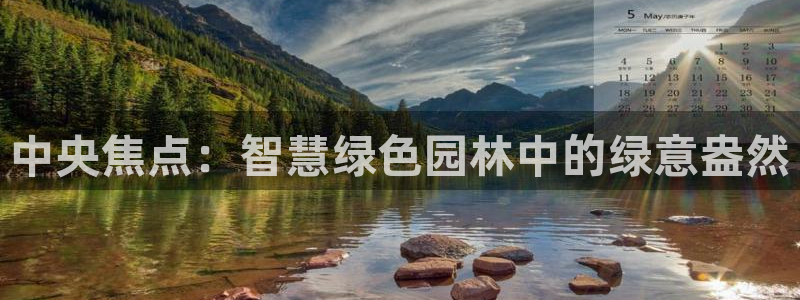 新宝gg有规律么