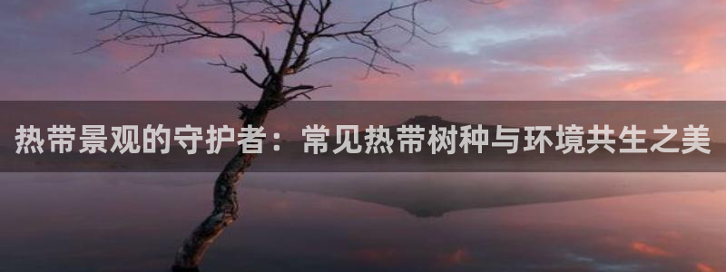新宝gg开好：热带景观的守护者：常见热带树种与环境共生之美