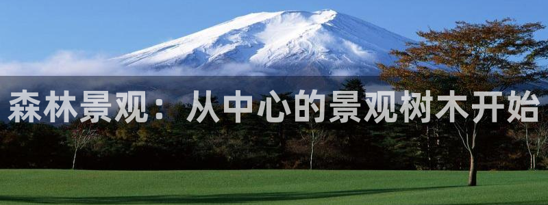 新宝gg传奇
