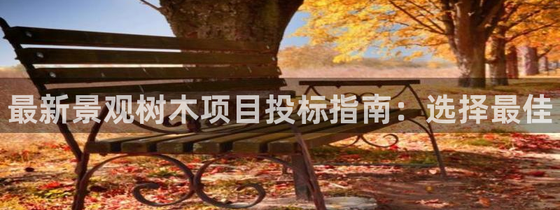 新宝gg用哪个浏览器