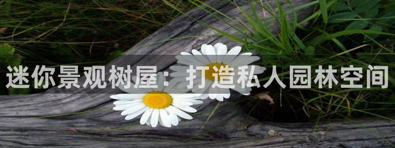 新宝6新宝gg：迷你景观树屋：打造私人园林空间