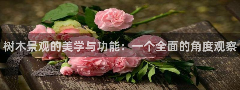 新宝GG亚洲