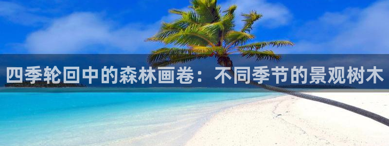 新宝gg提点：四季轮回中的森林画卷：不同季节的景观树木