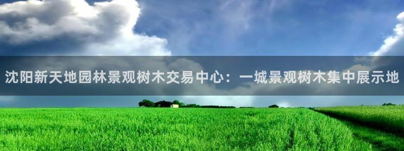 新宝gg娱乐官网：沈阳新天地园林景观树木交易中心：一城景观树木集中展示地