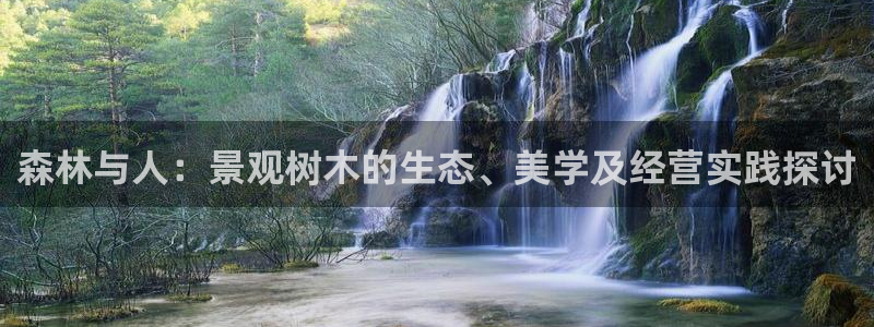 新宝gg怎样代理：森林与人：景观树木的生态、美学及经营实践探讨