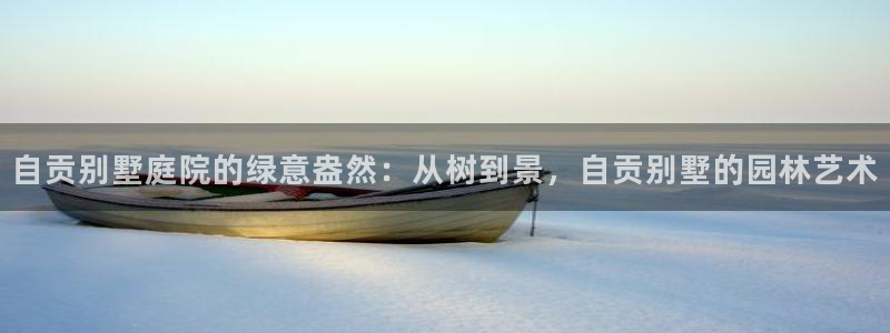 新宝gg软件
