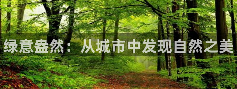 新宝gg棋牌