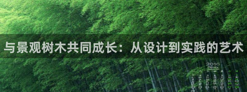 新宝gg登