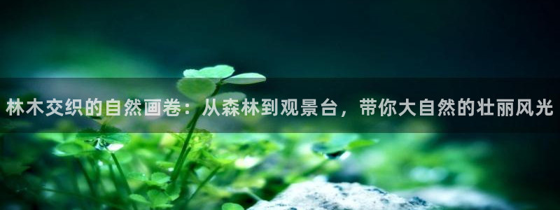 新宝gg维护