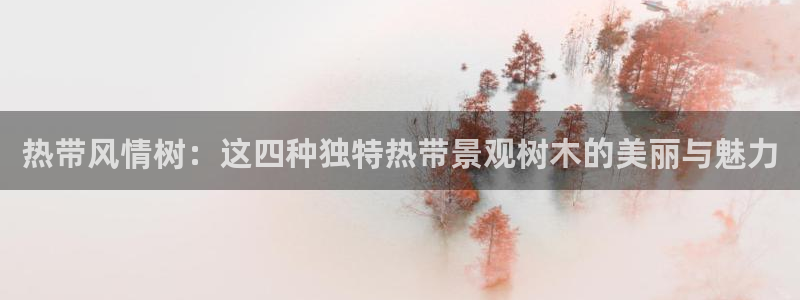 新宝GG管理