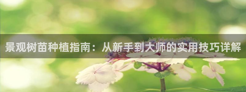 新宝gg打发