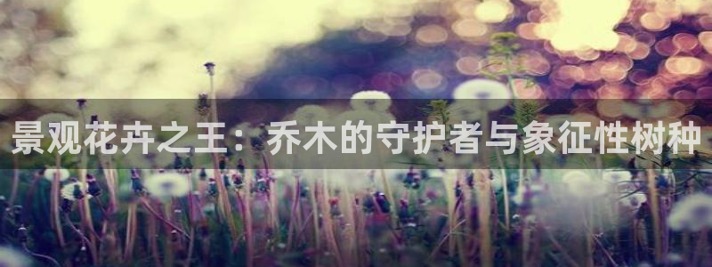新宝gg--创：景观花卉之王：乔木的守护者与象征性树种