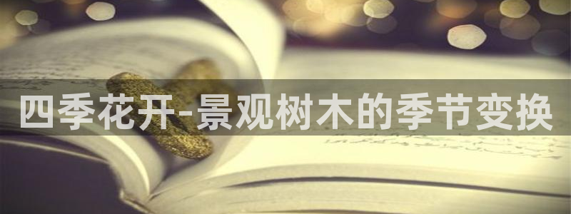 新宝gg   创造